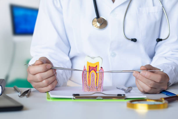Best Emergency Dental Care for Abscessed Tooth in Aledo, IL